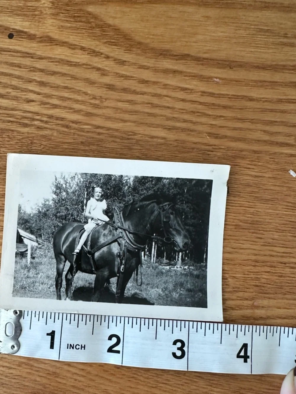 Vintage Photo of Girl on Horse C 1930 - Picture 4 of 5